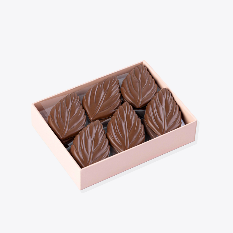 Milk Chocolate Autumn Leaves