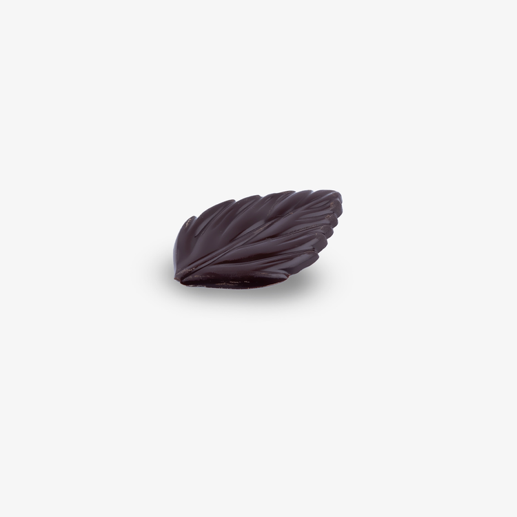 Close-up of handcrafted Dark Chocolate Autumn Leaves, ideal for seasonal gifting