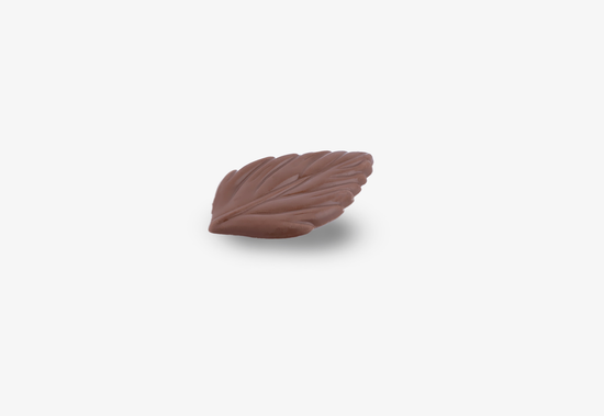 Close-up of Milk Chocolate Autumn Leaves, ideal for seasonal gifting